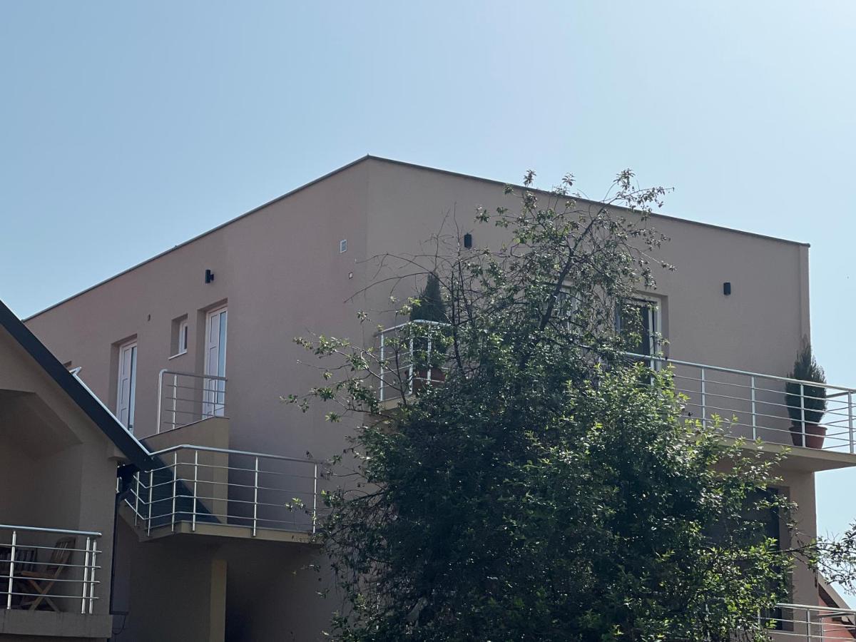 Apartman Scepanovic Nikšić Εξωτερικό φωτογραφία